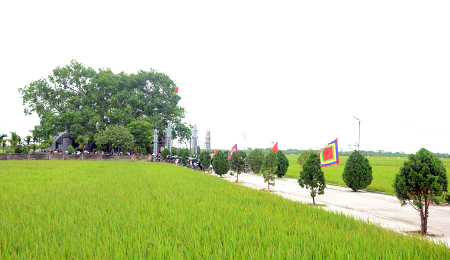 C&acirc;y[-]cổ[-]thụ[-]đầu[-]ti&ecirc;n[-]của[-]x&atilde;[-]B&igrave;nh[-]Định,[-]tỉnh[-]Hưng[-]Y&ecirc;n[-]được[-]c&ocirc;ng[-]nhận[-]C&acirc;y[-]Di[-]sản[-]Việt[-]Nam